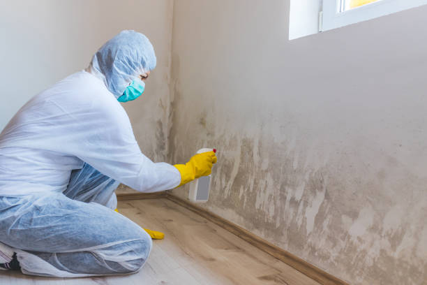 Commercial Mold Remediation assessment for commercial property in Woodland